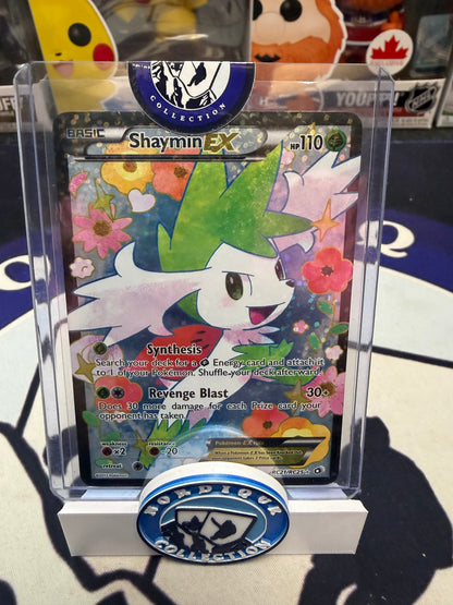 ROULETTE NORDIQUE POKÉMON