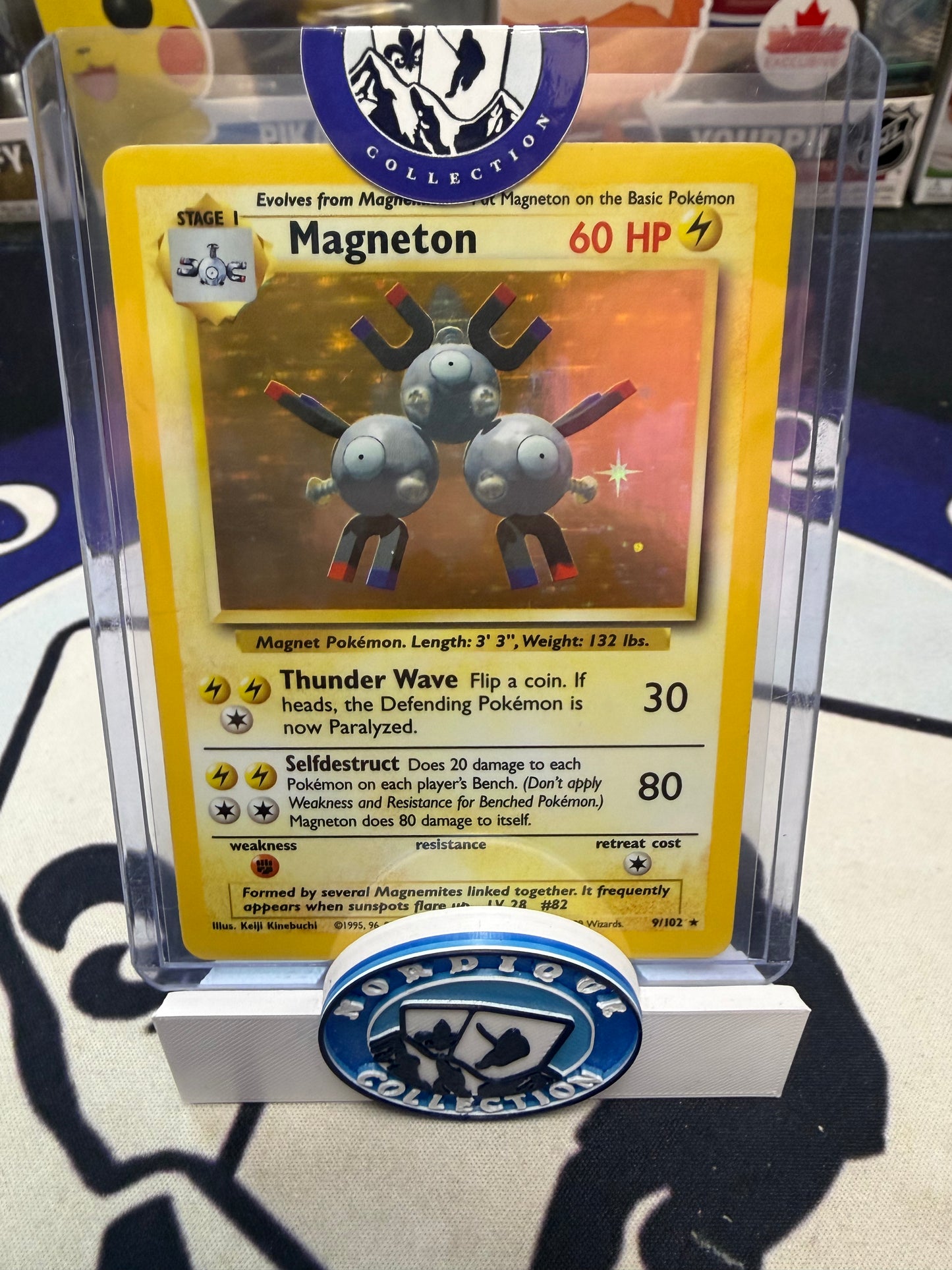 ROULETTE NORDIQUE POKÉMON