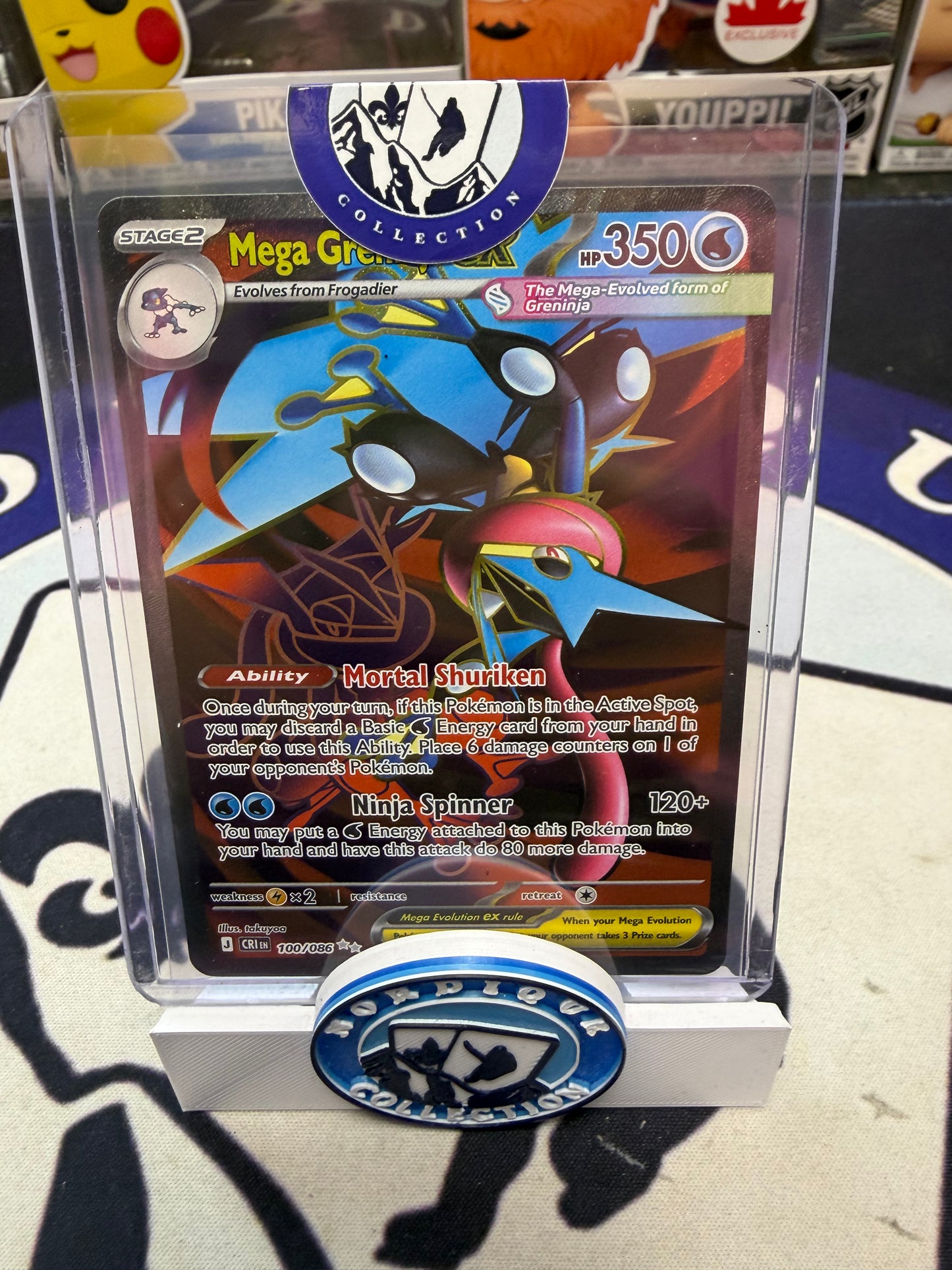 ROULETTE NORDIQUE POKÉMON