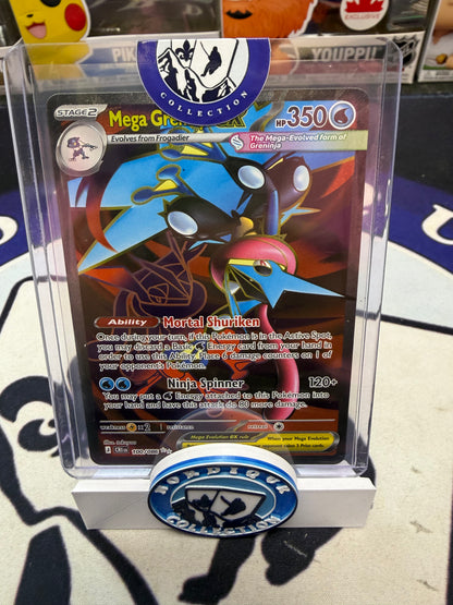 ROULETTE NORDIQUE POKÉMON