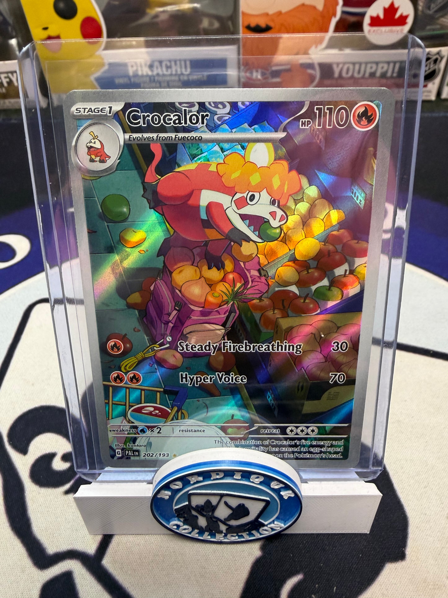 ROULETTE NORDIQUE POKÉMON