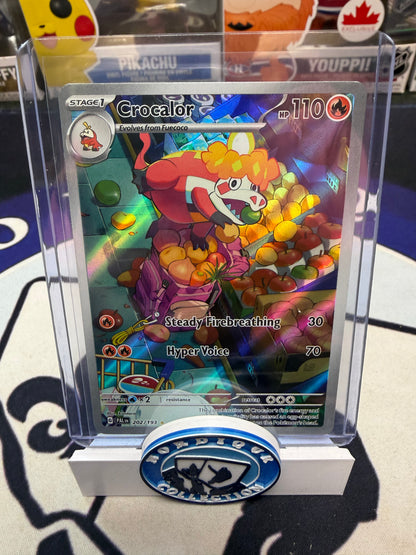 ROULETTE NORDIQUE POKÉMON