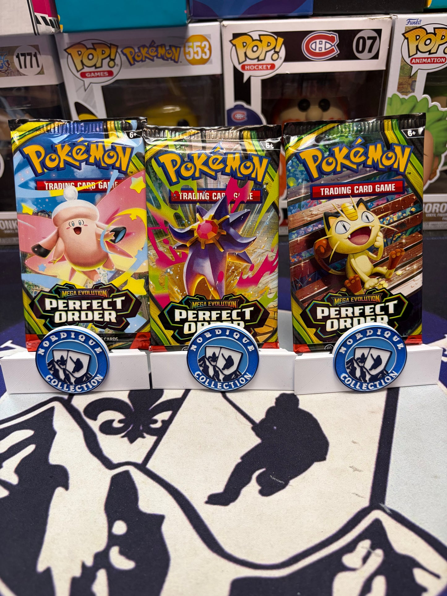 ROULETTE NORDIQUE POKÉMON